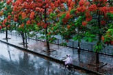 Cảnh báo mưa lớn diện rộng ở miền Bắc và Bắc Trung Bộ Cảnh báo mưa lớn diện rộng ở miền Bắc và Bắc Trung Bộ