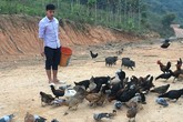 Tốt nghiệp Học viện báo chí, chàng trai dân tộc bỏ phố về quê nuôi gà lãi 10 triệu/tháng Tốt nghiệp Học viện báo chí, chàng trai dân tộc bỏ phố về quê nuôi gà lãi 10 triệu/tháng