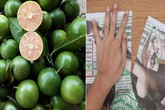 Cất trong tủ lạnh cả tháng mà quả chanh vẫn căng mọng, tươi rói chỉ nhờ một tờ báo cũ Cất trong tủ lạnh cả tháng mà quả chanh vẫn căng mọng, tươi rói chỉ nhờ một tờ báo cũ