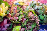Ngập tràn sắc sen tại chợ đầu mối hoa lớn nhất Hà Nội Ngập tràn sắc sen tại chợ đầu mối hoa lớn nhất Hà Nội