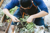 Chàng họa sĩ 9x độc thân ở Sài Gòn với thú vui làm tiểu cảnh Terrarium khiến vạn người mê Chàng họa sĩ 9x độc thân ở Sài Gòn với thú vui làm tiểu cảnh Terrarium khiến vạn người mê
