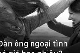 Người đàn ông dửng dưng ngoài cuộc, mặc vợ và bồ đánh ghen lẫn nhau, có đáng để giành giật? Người đàn ông dửng dưng ngoài cuộc, mặc vợ và bồ đánh ghen lẫn nhau, có đáng để giành giật?