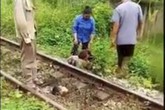Hãi hùng người đàn ông bị đứt lìa đầu sau cú va chạm với tàu hỏa Hãi hùng người đàn ông bị đứt lìa đầu sau cú va chạm với tàu hỏa