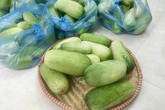 Dưa chuột độc lạ nặng 2kg/quả, giá cao gấp 3 dưa thường hút khách Dưa chuột độc lạ nặng 2kg/quả, giá cao gấp 3 dưa thường hút khách