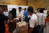 Len lông cừu khác gì với len truyền thống? Len lông cừu khác gì với len truyền thống?