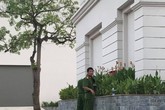 Nữ sinh Đại học Vinh rơi từ tầng 5 ký túc xá xuống đất Nữ sinh Đại học Vinh rơi từ tầng 5 ký túc xá xuống đất