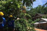 Hãy đồng hành cùng chúng tôi sử dụng điện an toàn, tiết kiệm và hiệu quả Hãy đồng hành cùng chúng tôi sử dụng điện an toàn, tiết kiệm và hiệu quả