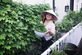 Nhớ món ăn quê hương, mẹ Việt ở Nhật quyết trồng vườn "bội thu" rau quả sạch, nhìn mê ngay Nhớ món ăn quê hương, mẹ Việt ở Nhật quyết trồng vườn "bội thu" rau quả sạch, nhìn mê ngay