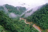 Thâm cung bí sử (145 - 4): Nơi cái chết cận kề Thâm cung bí sử (145 - 4): Nơi cái chết cận kề