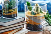 Khiến nhà thêm mới mẻ bằng cách trồng cây trong những bình cát màu độc đáo Khiến nhà thêm mới mẻ bằng cách trồng cây trong những bình cát màu độc đáo