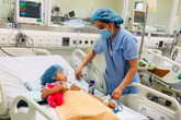 Hai chị em sinh đôi rủ nhau bắt thịt cóc về nấu ăn, một bé tử vong, một rất nguy kịch Hai chị em sinh đôi rủ nhau bắt thịt cóc về nấu ăn, một bé tử vong, một rất nguy kịch
