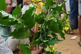 Con trai tự tử vì không ngăn được bố bạo hành mẹ Con trai tự tử vì không ngăn được bố bạo hành mẹ