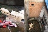 Bé sơ sinh sống sót thần kỳ sau khi nghi bị ném qua bức tường cao gần 2m Bé sơ sinh sống sót thần kỳ sau khi nghi bị ném qua bức tường cao gần 2m