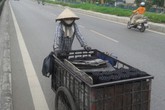 Nỗi niềm mưu sinh trước nguy cơ “xóa sổ” làng nghề than tổ ong Nỗi niềm mưu sinh trước nguy cơ “xóa sổ” làng nghề than tổ ong