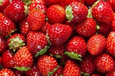 Top 8 loại quả mùa hè bị dùng hóa chất để "kéo dài tuổi thọ" nhất chợ Top 8 loại quả mùa hè bị dùng hóa chất để "kéo dài tuổi thọ" nhất chợ