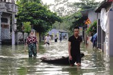 Hà nội: Ngập lụt, hàng nghìn người dân ăn mì tôm qua ngày Hà nội: Ngập lụt, hàng nghìn người dân ăn mì tôm qua ngày