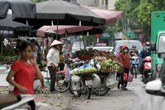 Phố Trần Bình, Hà Nội: Người đi bộ không còn lối đi trên vỉa hè Phố Trần Bình, Hà Nội: Người đi bộ không còn lối đi trên vỉa hè