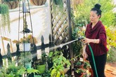Danh hài Thúy Nga lần đầu khoe không gian ấm cúng trong căn nhà 112 ô cửa sổ ở Mỹ Danh hài Thúy Nga lần đầu khoe không gian ấm cúng trong căn nhà 112 ô cửa sổ ở Mỹ