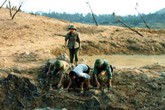 Thâm cung bí sử (145 - 7): Chiến tranh là có hy sinh Thâm cung bí sử (145 - 7): Chiến tranh là có hy sinh