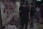Người trong cuộc nói về cảnh nóng, bạo lực trong “Quỳnh búp bê” Người trong cuộc nói về cảnh nóng, bạo lực trong “Quỳnh búp bê”
