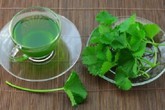 Những cách hạ nhiệt cơ thể khi nhiệt độ ngoài trời quá cao Những cách hạ nhiệt cơ thể khi nhiệt độ ngoài trời quá cao