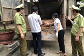 Thịt lợn Trung Quốc ồ ạt tuồn về Việt Nam do giá thịt lợn trong nước tăng Thịt lợn Trung Quốc ồ ạt tuồn về Việt Nam do giá thịt lợn trong nước tăng