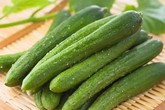 Tội gì không trồng vài giàn dưa leo sạch tại nhà vì chỉ 1 tháng là thu hoạch Tội gì không trồng vài giàn dưa leo sạch tại nhà vì chỉ 1 tháng là thu hoạch