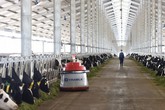Vinamilk tiên phong giới thiệu sữa tươi 100% A2 đầu tiên tại Việt Nam Vinamilk tiên phong giới thiệu sữa tươi 100% A2 đầu tiên tại Việt Nam