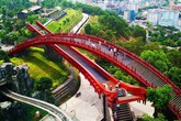 Giới trẻ miền Bắc đua nhau check-in Cầu Koi Hạ Long Giới trẻ miền Bắc đua nhau check-in Cầu Koi Hạ Long