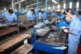 Nhận con nuôi vẫn được hưởng chế độ thai sản Nhận con nuôi vẫn được hưởng chế độ thai sản
