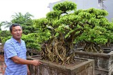 Sự thật về "gã khùng" đem ô tô, nhà đất đổi cây cảnh Sự thật về "gã khùng" đem ô tô, nhà đất đổi cây cảnh