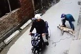 Đường dây thực hiện 40 vụ trộm chó trong hai tháng Đường dây thực hiện 40 vụ trộm chó trong hai tháng