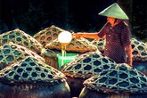Thâm cung bí sử (152 - 2): Nín thở chờ thời Thâm cung bí sử (152 - 2): Nín thở chờ thời