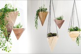 Những bộ chậu trồng cây trong nhà khiến các nông dân nhà phố mê mẩn Những bộ chậu trồng cây trong nhà khiến các nông dân nhà phố mê mẩn