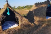 Cười ngất với khách sạn “uyên ương” nằm giữa cánh đồng lúa không dành cho người nghiện thuốc lá Cười ngất với khách sạn “uyên ương” nằm giữa cánh đồng lúa không dành cho người nghiện thuốc lá