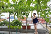 Vườn rau chẳng khác gì "nông trại" trên sân thượng của bà mẹ trẻ ở Hải Phòng Vườn rau chẳng khác gì "nông trại" trên sân thượng của bà mẹ trẻ ở Hải Phòng