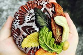 Làm bánh trung thu chẳng giống ai, bán hết vèo hơn vạn chiếc Làm bánh trung thu chẳng giống ai, bán hết vèo hơn vạn chiếc