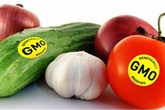 Ăn thực phẩm biến đổi gen có làm biến đổi gen của con người? Ăn thực phẩm biến đổi gen có làm biến đổi gen của con người?