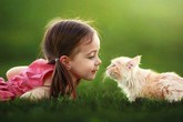 Giun sán trong cơ thể, nhiều người lầm tưởng khối u Giun sán trong cơ thể, nhiều người lầm tưởng khối u