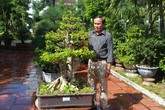 Cựu thợ điện kiếm tiền tỷ từ vườn cây cảnh Cựu thợ điện kiếm tiền tỷ từ vườn cây cảnh