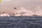 Tiếng nổ bất thường dưới biển vào ngày MH370 biến mất Tiếng nổ bất thường dưới biển vào ngày MH370 biến mất