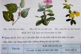 Phần lớn sách giáo khoa yêu cầu học sinh làm bài tập vào sách Phần lớn sách giáo khoa yêu cầu học sinh làm bài tập vào sách