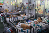 Bệnh tay - chân - miệng tăng đột biến: Bệnh viện, người dân đều lo Bệnh tay - chân - miệng tăng đột biến: Bệnh viện, người dân đều lo