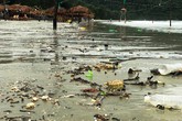Bãi biển Quảng Ninh, Nghệ An tràn ngập rác Bãi biển Quảng Ninh, Nghệ An tràn ngập rác