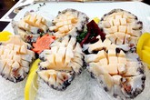Bào ngư Hàn Quốc khẳng định chất lượng tuyệt hảo tại thị trường Việt Bào ngư Hàn Quốc khẳng định chất lượng tuyệt hảo tại thị trường Việt