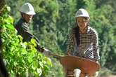 Hoa hậu Trần Tiểu Vy đào đất cùng bộ đội biên phòng Hoa hậu Trần Tiểu Vy đào đất cùng bộ đội biên phòng