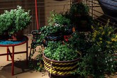 Thiết kế những chậu cây xanh trong nhà để không gian sống luôn tươi mới Thiết kế những chậu cây xanh trong nhà để không gian sống luôn tươi mới