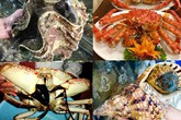Bữa tiệc khó tin: Tu hài 10 triệu/con, cua khổng lồ 60 triệu/con Bữa tiệc khó tin: Tu hài 10 triệu/con, cua khổng lồ 60 triệu/con