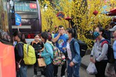 Hàng vạn vé xe miễn phí đưa công nhân, bệnh nhân về quê ăn Tết Hàng vạn vé xe miễn phí đưa công nhân, bệnh nhân về quê ăn Tết