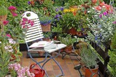Nhân viên của vợ giăng bẫy tình, người đàn ông quỳ gối xin lỗi Nhân viên của vợ giăng bẫy tình, người đàn ông quỳ gối xin lỗi